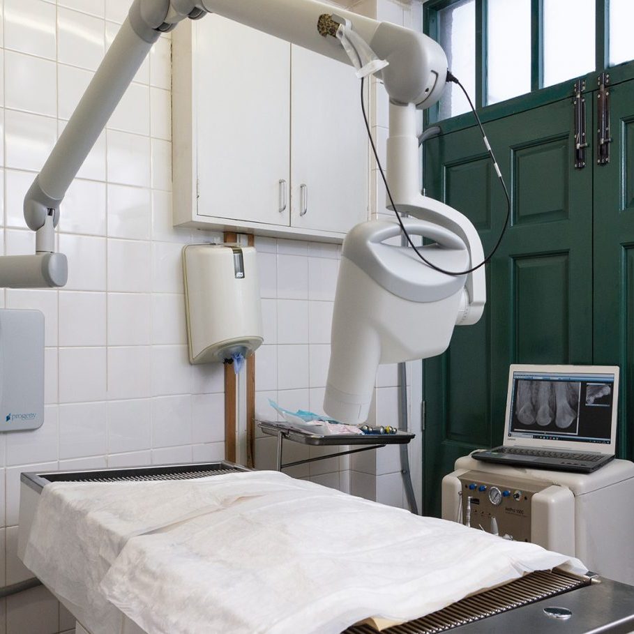 Animal Dentistry with X-Ray Machine at Dunelm Veterinary Group Photos Facilities - Animal Dentistry at Dunelm Vets Durham